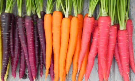 What are the Health Benefits of Eating Carrots?