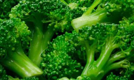 Broccoli Health Benefits and Nutritional Information