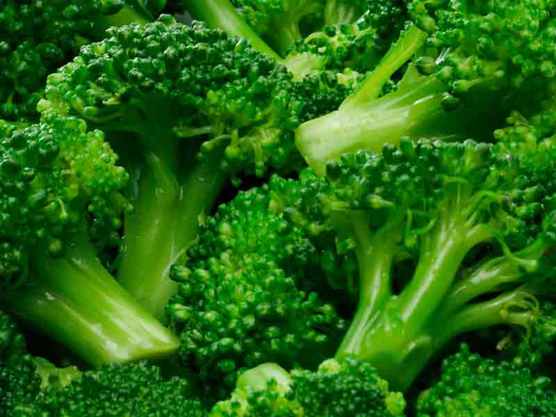 Broccoli Health Benefits and Nutritional Information