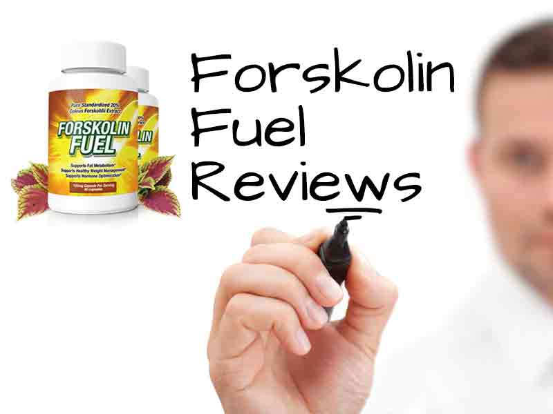 Forskolin Fuel Reviews | Does it Really Work?