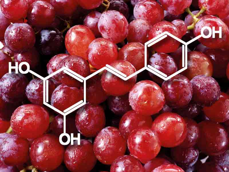 Resveratrol Supplements: Side Effects and Benefits