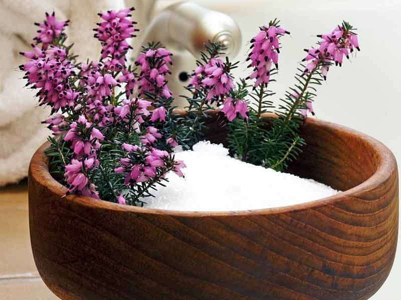 Health Benefits and Remedies of Baking Soda