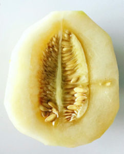 honey-melon-healthy-breathing-250x310