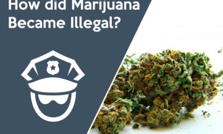 How did Marijuana Become Illegal?