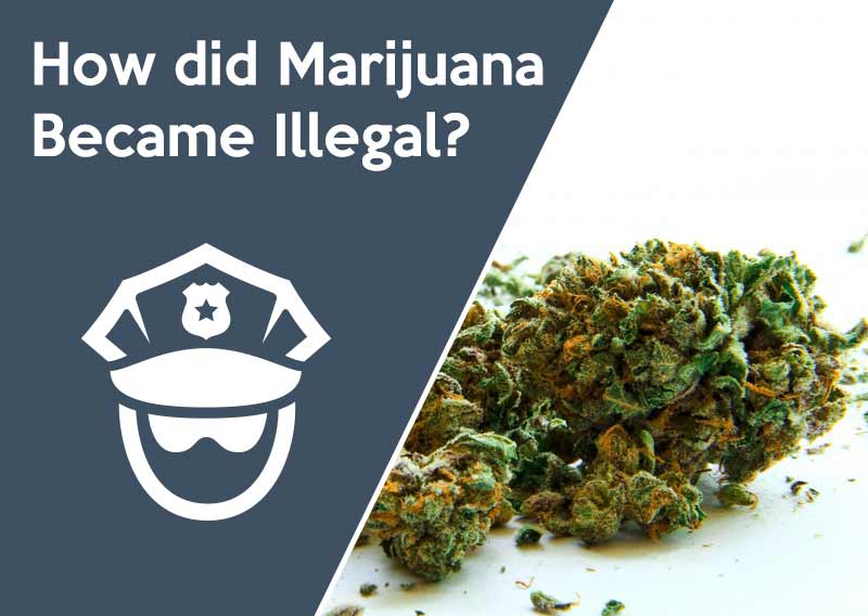 How did Marijuana Become Illegal?